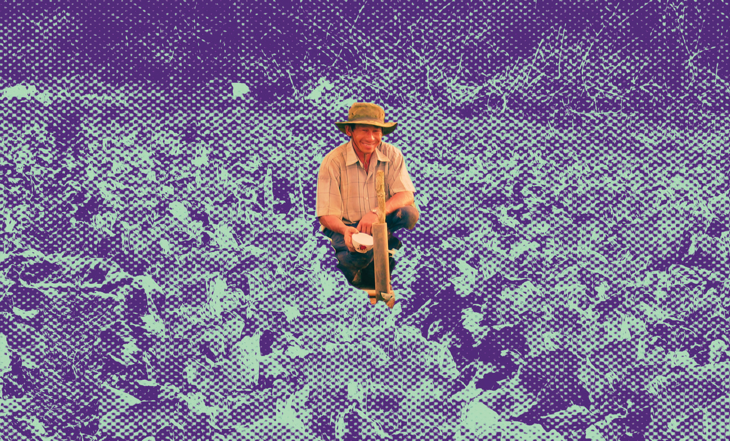 Photo illustration of a Hawaiian farmer wearing a hat squats in a field of taro and holds a taro root in one hand.