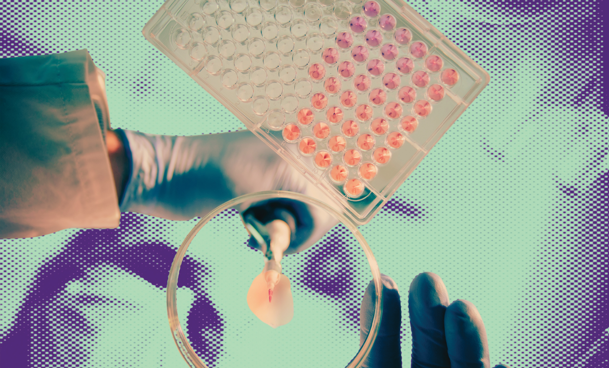 Photo illustration of a gloved hand using a pipette with a petri dish and a 96-well PCR plate