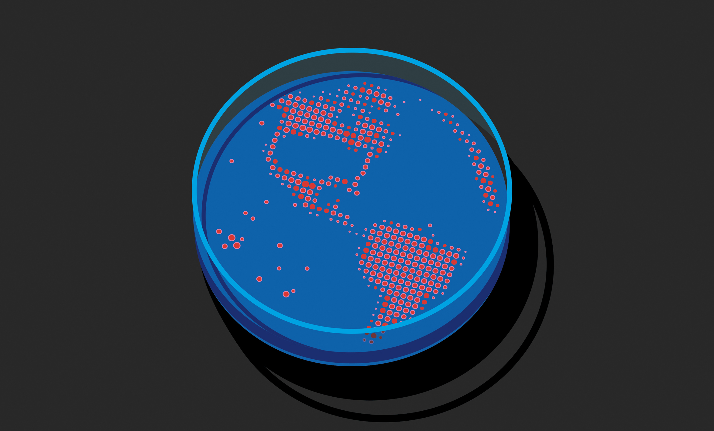 A petri dish that looks like a globe. The bacteria are growing in the shape of the continents. North America is missing.