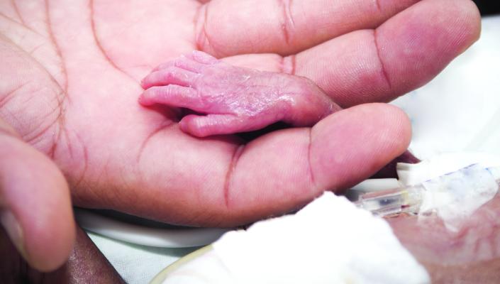 a tiny baby's hand rest in an adult's hand