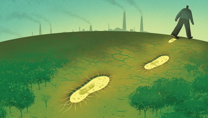 A person walks across a landscape out of a forest. Their footprints are bacteria. There are smokestacks from industry in the distance.