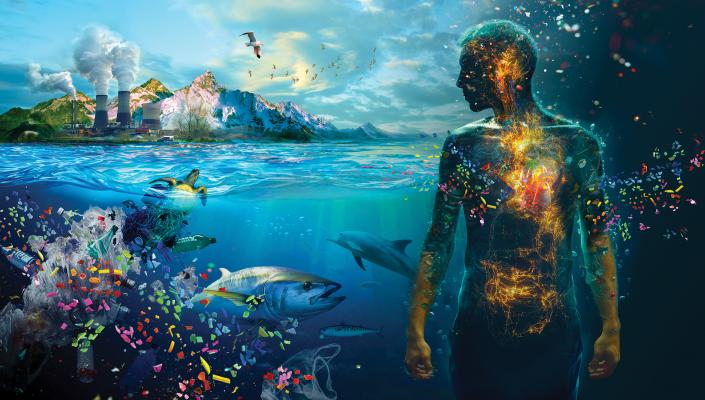 A composite image showing an industrial landscape above water, marine life and pollution underwater, and a glowing human figure intertwined with the environment.