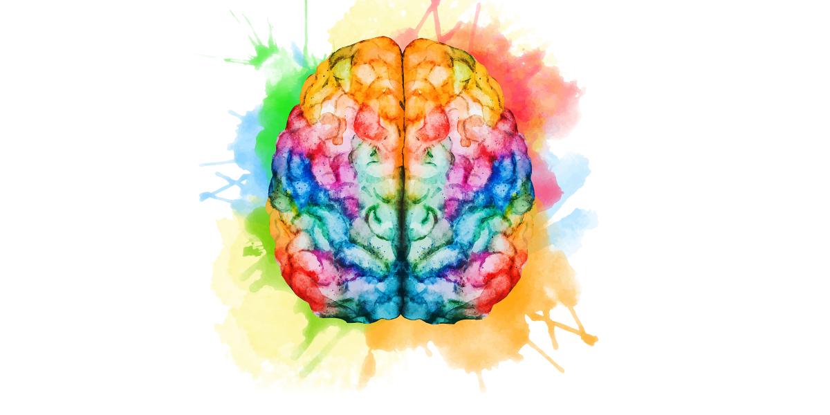 Watercolor illustration of a brain.