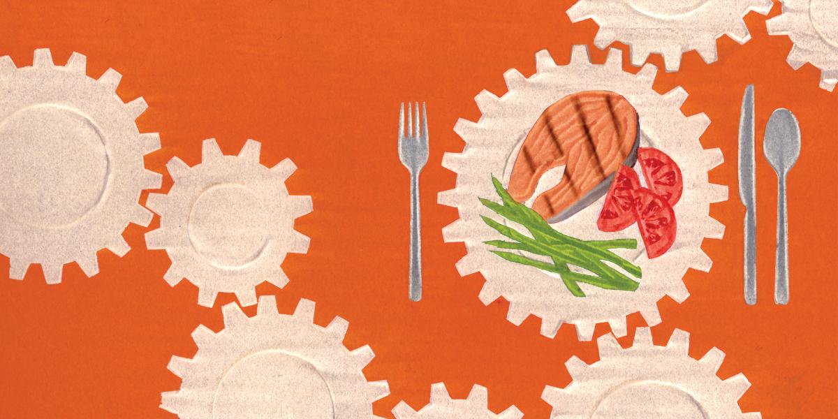 illustration of different food groups on gears