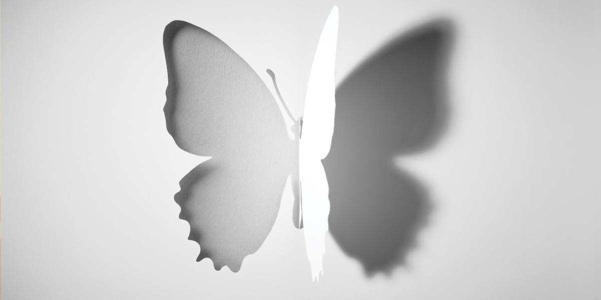 An illustration of a white butterfly and its shadow.