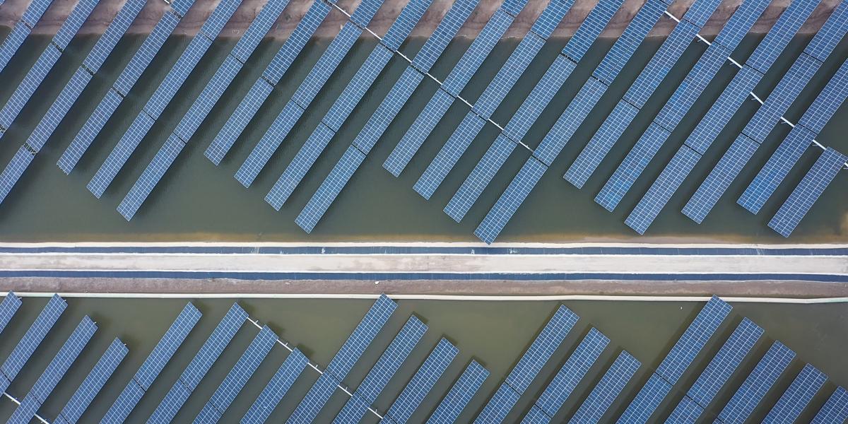 Solar panels in Dongying City, China, generate power and cool the waters of a shrimp fishery.