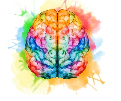 Watercolor illustration of a brain.