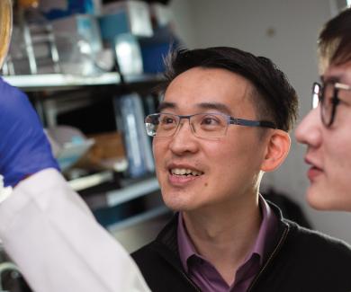 Anthony Leung (left) and research technologist Junlin Zhuo, ScM, inspect a plate of bacteria that produce proteins for ADPr-Glo.