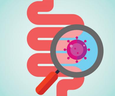 intestine graphic