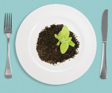 A place setting of a fork, knife and plate. The plate has a plant growing out of it.