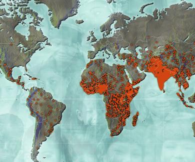 a map with dots in red showing where 5,000+ child deaths occure