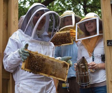 Sarah Khasawinah, Katherine Reiter in beekeeping gear, holding honeycombs