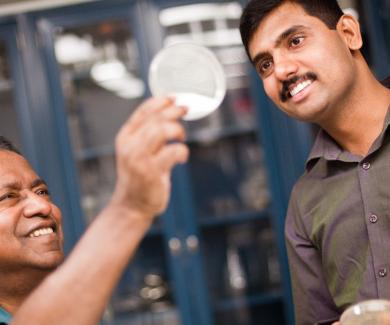 Srinivasan Chandrasegaran and Sivaprakash Ramalingam look together at a culture plate