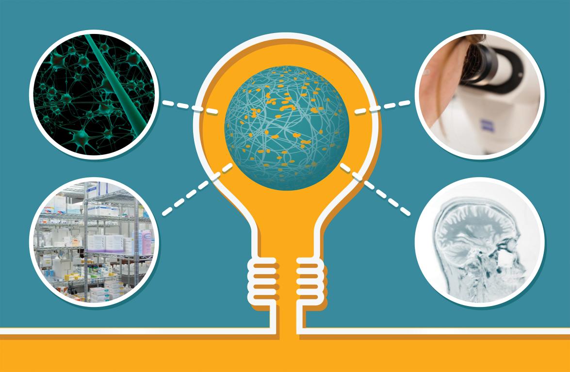 An illustration of a lightbulb, surrounded by images of lab equipment and a brain scan.