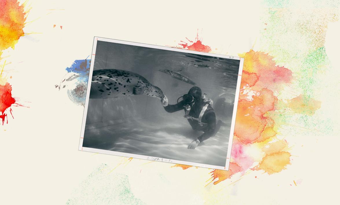 a black and white photograph of a diver with Scuba gear swimming underwater with a seal