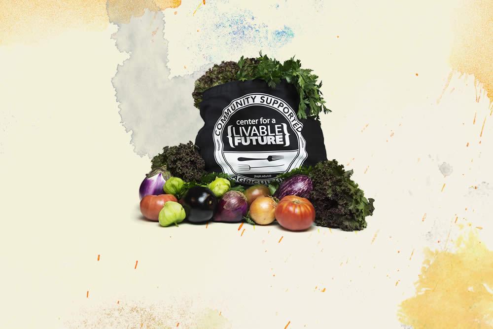 a produce back with the CLF logo and the words Community Supported Agriculture