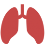 lungs icon